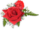 Thumbnail Red Roses Image